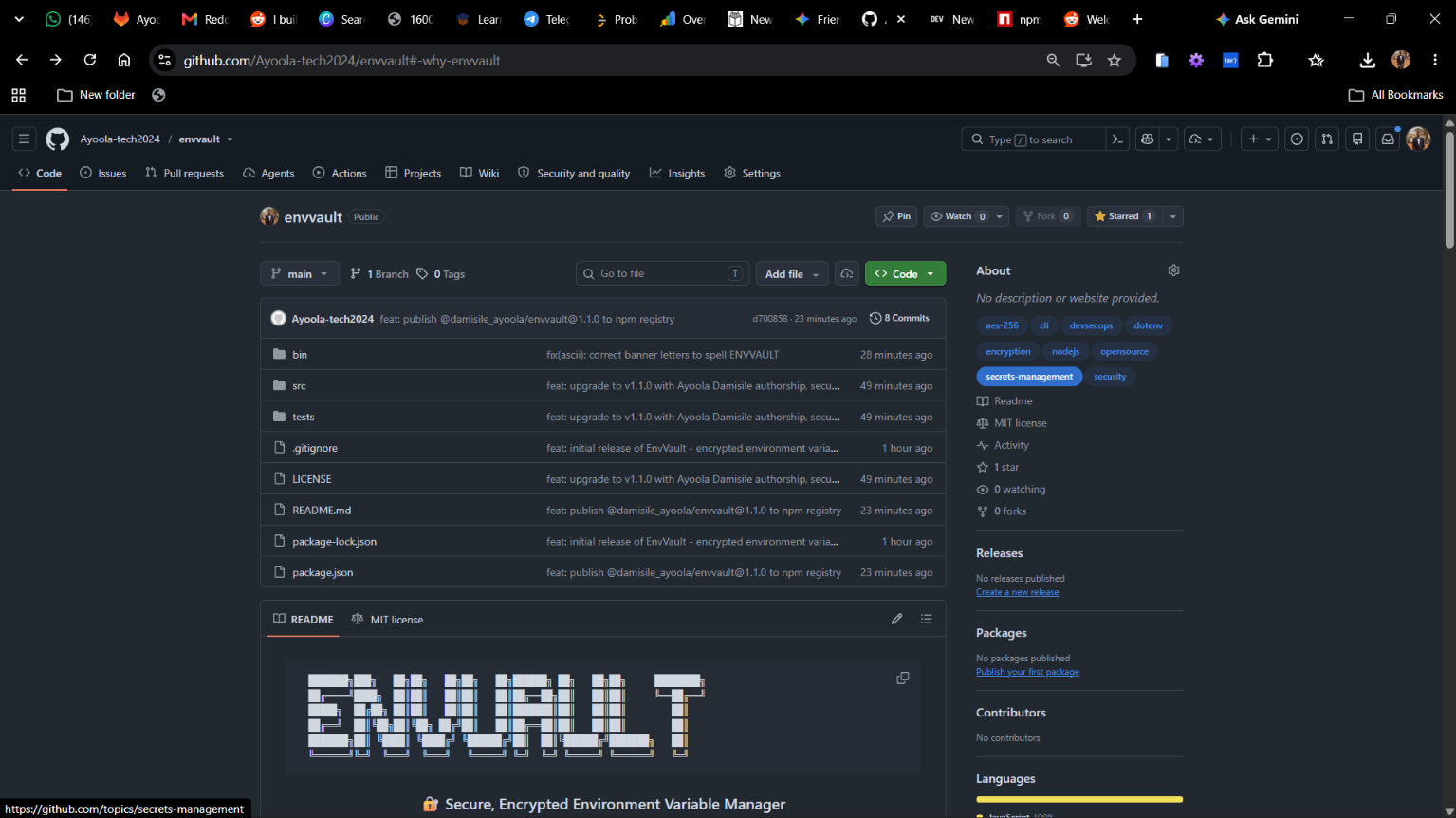 envvault banner